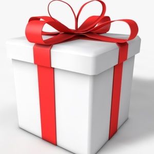 Surprise Bundle…Men, Women Clothing and Accessories Various Sizes